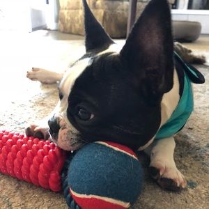 Meet your Posher, Ivy